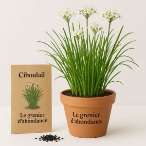 100 Graines À Semer - Le Grenier D'abondance - Ciboulail Ciboulette Chinoise - Allium Tuberosum - Neuf