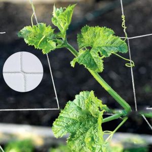 Filet Descalade Dusine De Vignes De Jardin De Filet De Treillis De Plante - Neuf