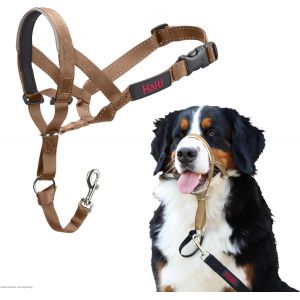 Licol - Pour Que Votre Chien Arr&ecirc;te De Tirer Sur Sa Laisse, Facile &Agrave; Enfiler, Partie Enti&egrave;rement Matelass&eacute;e Sur Le Museau, Colliers Anti-Traction Pour Grands Chiens (Taille 4, Sable Du D&eacute;sert) - Neuf