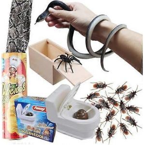 Kit De Farces Cadeaux Gag Dr&ocirc;les,Serpents En Caoutchouc R&eacute;alistes Faux Cafards Bo&icirc;te D'araign&eacute;e Surprise Pour Le Poisson D'avril D&eacute;coration De F&ecirc;te D'halloween - Neuf
