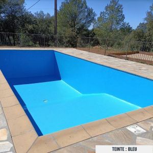 Peinture Piscine Bassin B&eacute;ton ARCAPISCINE Ciment D&eacute;coration Imperm&eacute;able Bleu Blanc Gris Grise Jaune Sable Noir Vert Bleu 2.5 L - Neuf