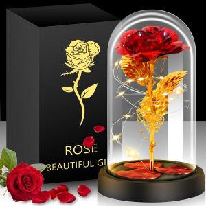 Rose &eacute;ternelle La Belle la B&ecirc;te - Rose &eacute;ternelle - Cadeau de f&ecirc;te des m&egrave;res - Rose &eacute;ternelle dans un verre - Cadeau pour maman - Cadeau pour la f&ecirc;te des m&egrave;res, la Saint-Valentin, un anniversaire de - Neuf