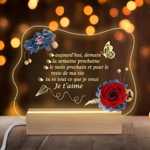 ERYI-Cadeau Anniversaire Femme Homme, Rose Éternelle Cadeau Femme Original, Led Veilleuse En Acrylique Idée Cadeau Homme, Fleur Eternelle Cadeau Saint Valentin, Noël, Anniversaire De Mariage - Neuf