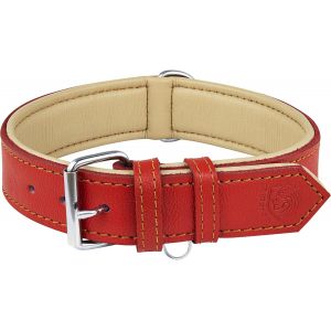 Riparo Collier Pour Chien En Cuir V&eacute;ritable (Orange, L: 3,8 Cm De Large Pour 45,7 Cm - 53,3 Cm De Cou) - Neuf