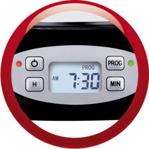 Fg362810 Cafetière Filtre Principio Programmable 10-15 Tasses Verseuse Verre Anti-Goutte Subito Inox Grille Pain 1 Longue Fente Toaster Thermostat 7 Positions Décongelation - Neuf