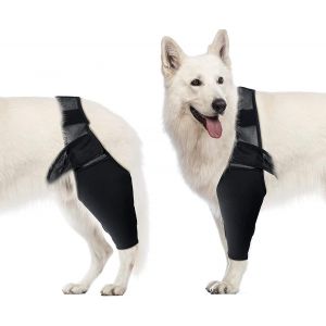 Coudière Pour Chien, Genouillère De Compression Pour Chien, Soutien Du Coude Et De L'épaule, Dysplasie, Arthrite, Callosités Du Coude, Escarres, Luxation De L'épaule (L) - Neuf