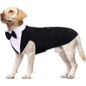 Jgd-Smoking Formel Pour Chien, Set Costume E Bandana Pour Mariage Shirt Avec N?ud Papillon V&ecirc;tements Pour Chiens &Eacute;l&eacute;gant Apparel Tuxedo Pour Mariage Party Festival Halloween No&euml;l(Noir, Xl) - Neuf