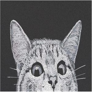 Tapis D'entr&eacute;e &laquo; Bienvenue Chat &raquo; 18x30, Absorbant La Boue, Pour Int&eacute;rieur Et Ext&eacute;rieur - Neuf