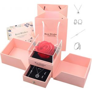 Real Preserved Red Rose With S925 Sterling Silver Necklace,Eternal Rose With ""I Love You"" Necklace In 100 Languages For Girlfriend Her.[S217] - Neuf