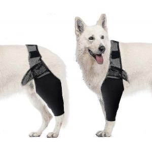 Attelle De Coude Pour Chien, Attelle De Genou Compressive Pour Chien, Support Pour Coude Et &Eacute;paule, Dysplasie, Arthrite, Callosit&eacute;s Du Coude, Escarres, Luxation De L'&eacute;paule, M - Neuf