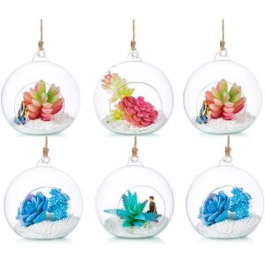 Teppe-Terrarium En Verre Suspendu 6 Pièces Grande Ouverture Vase Plante Boules 12cm Fleur Vase Pot Boules De Verre Creativesverre La Conception De Bricolage De Jardin De Mariage À La Maison - Neuf