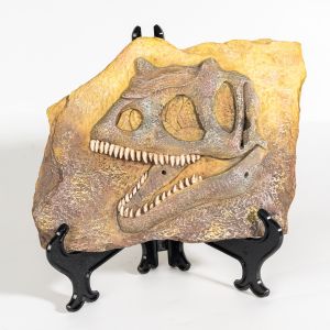 Statue en r&eacute;sine repr&eacute;sentant un fossile de dinosaure, squelette simul&eacute;, d&eacute;coration pour le bureau &agrave; domicile, bo&icirc;te d&eacute;corative artisanale - Neuf
