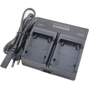 Dual-Channel Batterie Chargeur pour NP-FV30 NP-FV50 NP-FV70 NP-FV100 NP-FH50 NP-FH70 NP-FH100 DCR-DVD105 HDR-CX900e CX280 CX260 CX330 CX410 CX240 Handycam Camera - Neuf