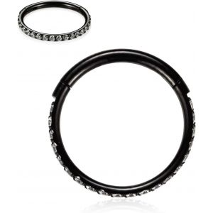 Tianyi-Piercings En Acier Chirurgical 316l Et Oxyde De Zirconium Pour Oreille Et Nez - Calibres 20, 18, 16, 14 - Anneaux Pour Homme Et Femme - Neuf