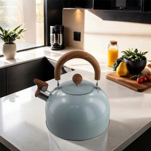 Bouilloire de sifflet en acier inoxydable de 3 litres Bouilloire à gaz épaissie - Neuf