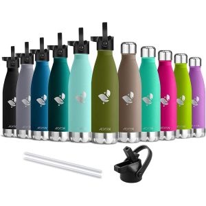 Shiba-Bouteille D'eau En Acier Inoxydable Isolé À Double Mur - 350ml/500ml/750ml - Gourde Isotherme Étanche Sans Bpa, Gourde Inox [1 - Neuf