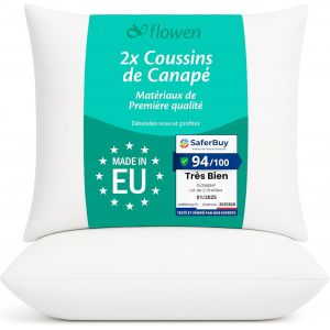 CAUC-Coussin Canape 60x60 Lot de 2 Oreillers Decoratif Accessoires pour Sofa Decoration Aesthetic pour Salon et Exterieur Antiallergiques et Anti-Acariens avec Taie d'oreiller en Microfibre - Neuf