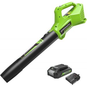 Greenworks G24ABII Souffleur à Batterie Axial de Feuilles Mortes Sans Fil, 145 km/h, 9,08 m³/min SANS Batterie 24V Ni Chargeur, Garantie 3 Ans - Neuf