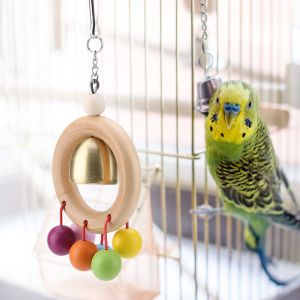 Hjlian Jouet Pour Perroquet, Jouet A Macher Pour Oiseaux, Jouet En Bois Suspendu, Jouet A Cloche Pour Perroquet - Neuf