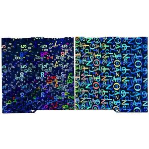 Plaque de construction Anycubic Kobra 3 Combo 256x268 en t&ocirc;le d'acier &agrave; ressort A - Neuf