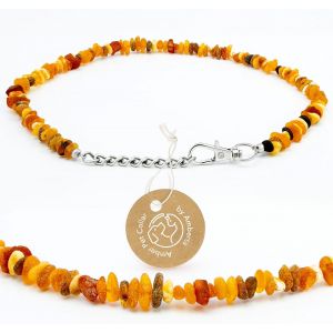 Eryi-Collier D' Ambre Pour Chiens Et Chats | Collier Pour Chien En Ambre | Collier Pour Chat: 35-40 Cm - Neuf
