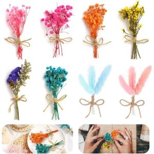 8 Pcs Bouquets De Fleurs S&eacute;ch&eacute;es Bouquets De Fleurs S&eacute;ch&eacute;es Petites Fleurs S&eacute;ch&eacute;es Pour R&eacute;sine Fleurs S&eacute;ch&eacute;es Naturelles Pour Artisanat Fleurs Conserv&eacute;es Pour R&eacute;sine Scrapbooking D&eacute;coration - Neuf