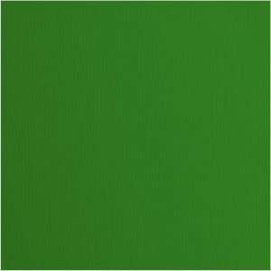Florence Papier Cartonn&eacute;,Vert (Sauterelle),216g,Carr&eacute;,30,5 X 30,5 Cm,20 Feuilles,Surface Textur&eacute;e,Pour Peindre,Scrapbooking Et Plus,30,5x30,5cm - Neuf