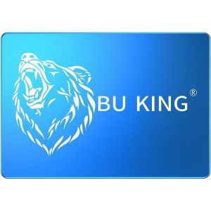 lbgwp60-Ssd 240 Go Sata3 Interne Disque Ssd 2,5 Pouces Jusqu'À 400 M/S Tête D'Ours Bleu/Bleu - Neuf