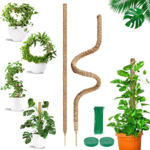 KALANKA-pôle Tuteur Plante Grimpante, 2 x 160cm Tuteur Monstera, Support de Plante Tuteur Coco, Pliable Tuteur Sphaigne pour Plantes Grimpantes Qui Poussent vers Le Haut, Maison Jardin de Support de - Neuf