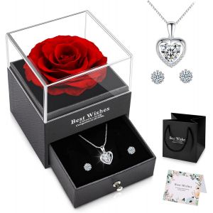 Rose &Eacute;ternelle Cadeau St Saint Valentin Femme Coffret Cadeau Rose idee Cadeau No&euml;l Femme Maman Couple Rose Eternelle Collier bo&icirc;te &agrave; Bijoux pour Femme,Cadeaux pour F&ecirc;te Anniversaire - Neuf