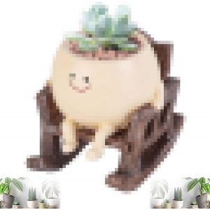 Pot De Fleurs Avec Visage,Pot Fleur Balan&ccedil;oire,Pots De Succulentes Visage Souriant,Pots De Jardini&egrave;re De Visage De Sourire,Smile Face Pot De Fleurs Succulentes,Pour D'int&eacute;rieur Et D'ext&eacute;rieur - Neuf