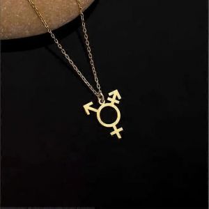 Cool Trans Genre Symbole Collier Lgbt Queer Pride Charme Transgenre Pride Gay Lgbtq Bijoux - Neuf