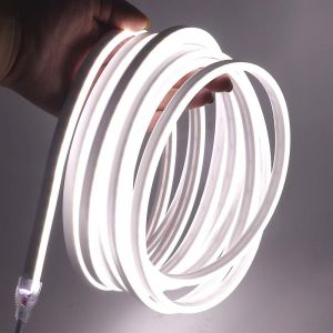 Lumière Au Néon Led,12v 2835 120leds / M Imperméable À L'eau Flexible Led Light Strip Au Néon Avec,Pour Chambre,Noël,Fête,Etc (Blanc,1m - Neuf