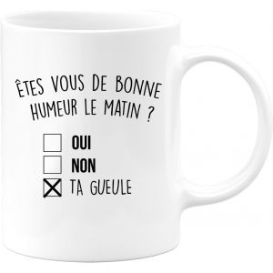 Eryi-- Mug Humour Noir - Ëtes-Vous De Bonne Humeur Le Matin Oui Non - Tasse Cadeau Anniversaire Saint-Valentin Râleur Noël Drôle Fun - Blanc/Céramique - Neuf