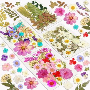 Fleurs S&eacute;ch&eacute;es, Fleurs Press&eacute;es pour R&eacute;sine,Savon,Bougie,Scrapbooking & Cartes-Kit de Fleurs et Feuilles Naturelles S&eacute;ch&eacute;es pour Bricolage,Artisanat & D&eacute;coration Bijoux.[S307] - Neuf
