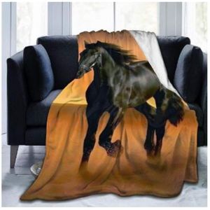 Couvertures De Canapé Réversibles En Flanelle 150x200 Cm, Couverture De Lit D'hiver En Polaire Ultra Douce 90, Couverture De Canapé P - Neuf