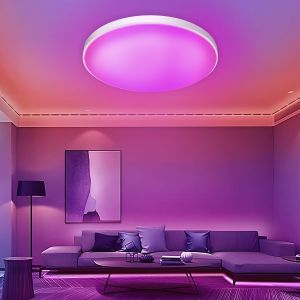 Plafonnier Led 30w Carr&eacute; Dimmable,Int&eacute;gr&eacute; Smart Rgb Changement De Couleur,Plafonnier Bluetooth/App Contr&ocirc;le/T&eacute;l&eacute;commande,Chambre D'enfants Couloir Balcon Dimmable Rgb Changement De Couleur - Neuf