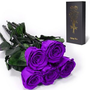 Rose Eternelle Cadeau Femme,Vraie Rose avec Tige Cadeau Maman Noel Fleur Pr&eacute;serv&eacute;e en Coffret Cadeau Anniversaire Femme Cadeau Fleur Eternelle Noel Cadeau Saint-Valentin Fete des Meres,5 Roses - Neuf