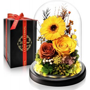 Cadeau Noel Femme I Rose &Eacute;ternelle et Gerbera Stabilis&eacute;e | Cadeau de luxe avec Lumi&egrave;re LED | Parfait pour les Anniversaires | Id&eacute;al pour Femme, Petite Amie, Maman et Grand-m&egrave;re | Fleurs Pr&eacute;serv&eacute;es - Neuf