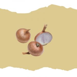 &Eacute;chalote Ronde Red Sun 500g - Neuf