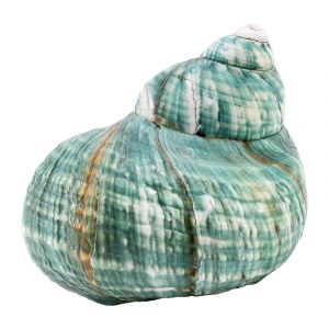 10CM Vert Turbo Naturel Rare Véritable Coquillage De Mer Conque Décor Océan 1Pcs - Neuf