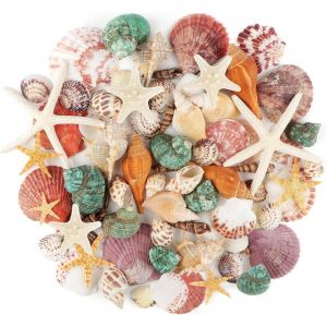 Eryi-Coquillages Mixtes Coquillages Marins, 3cm - 9cm Coquillages De Plage De Différentes Tailles Et Étoiles De Mer Naturelles Pour Vase Remplissage Plage Thème Fête Mariage Décoration - Neuf