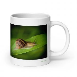 Mug Escargot, Le Patient Voyageur Du Jardin 567 G - Neuf