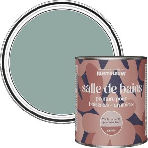Peinture Bleue R&eacute;sistante &agrave; l'humidit&eacute; pour Meubles de Salle de Bains,Finition Satin&eacute;e-Bleu Gris 750ml - Neuf