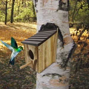 Bo&icirc;te &Agrave; Oiseaux Doiseau De Fen&ecirc;tre Bo&icirc;te &Agrave; Oiseaux Pour Lext&eacute;rieur Avec - Neuf