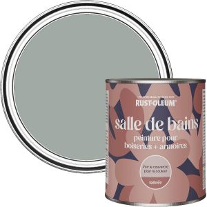 Peinture Grise R&eacute;sistante &agrave; l'humidit&eacute; pour Meubles de Salle de Bains,Finition Satin&eacute;e-Gris Urbain 750ml - Neuf