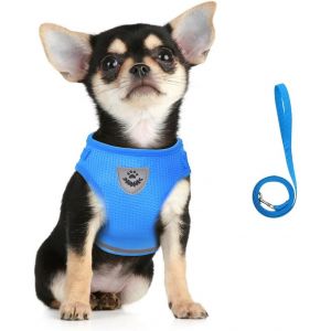 Eryi-Harnais Et Laisse Pour Chiens, Ensemble Harnais Rembourré En Mesh Doux Pour Chiots Et Chats, Veste Respirant Réglable Réfléchissant Intérieur Pour Marcher, Courir, Formation - Neuf