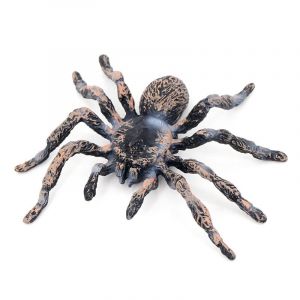 Figurines D'animaux Réalistes - Modèle D'action D'araignée Figurines D'insectes Réalistes - Jouets D'apprentissage Éducatifs Coffret D'anniversaire - Neuf