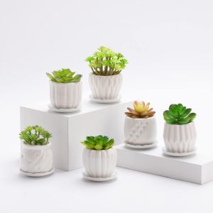 Teppe-Lot De 6 Pots De Fleurs Simples En Porcelaine Blanche Pour Petits Pots De Fleurs, Cactus Succulents Avec Drainage Et Soucoupe Pour Décoration De Maison, Bureau, Cadeau (Rayures Blanches) - Neuf
