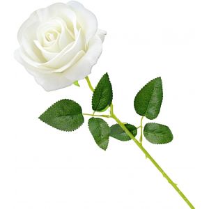 Rose &Eacute;ternelle, Fleur Artificielle en Soie &Eacute;l&eacute;gante - Cadeau Romantique pour Saint Valentin, F&ecirc;te des M&egrave;res, No&euml;l, Anniversaire - D&eacute;corative pour Salon, Mariage, C&eacute;r&eacute;monie (Blanc) - Neuf